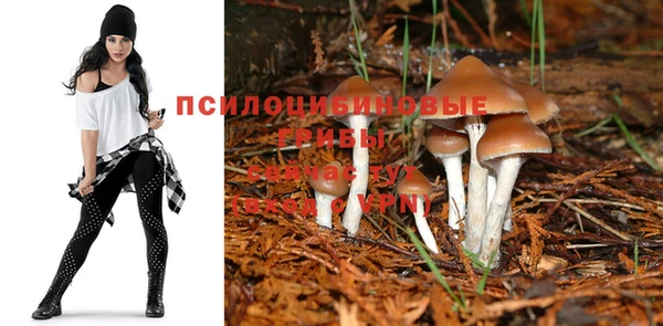 винт Зеленокумск
