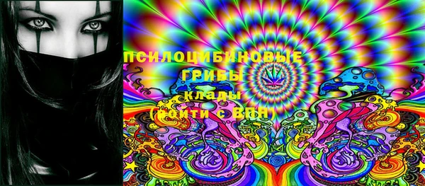 МДПВ Зеленодольск