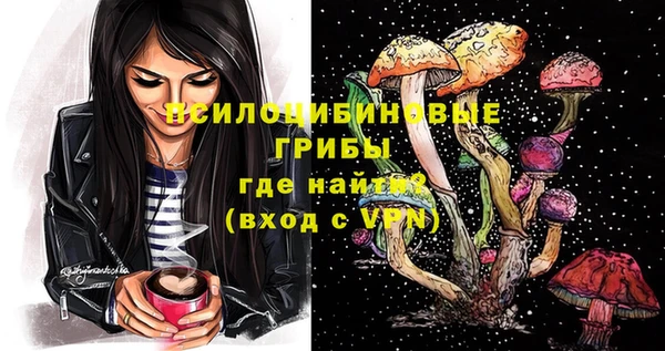 МДПВ Зеленодольск