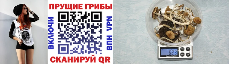 MEGA как зайти  Архангельск  Галлюциногенные грибы GOLDEN TEACHER 